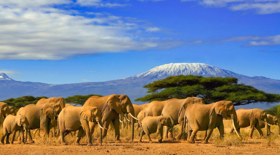 Tanzania Tanzania